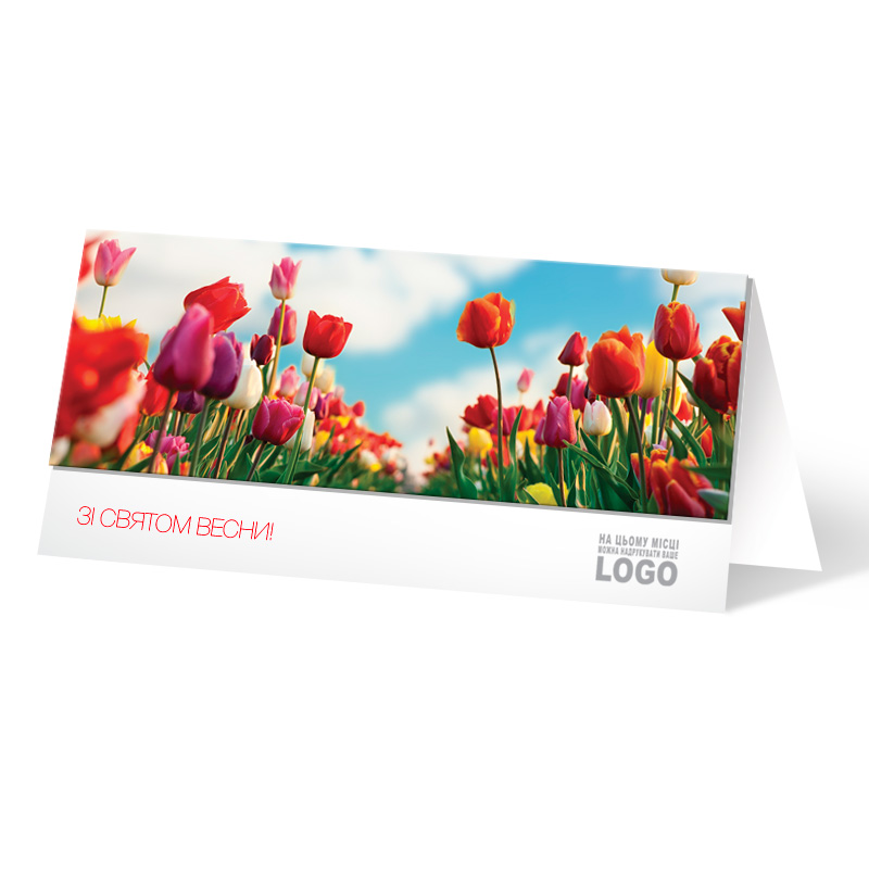 фото номер 1 L2485, Новинки smtpmail.lastivka.ua